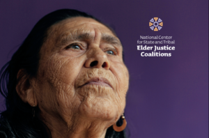 Elder Justice Center Resource Guide Header Image of Native American person